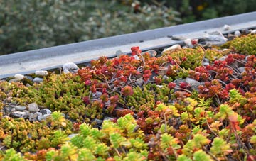 the cost of Gortin green roof installation